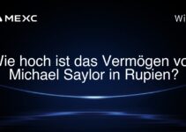 Wie hoch ist das Vermögen von Michael Saylor in Rupien?