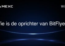 Wie is de oprichter van BitFlyer?