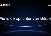 Wie is de oprichter van Bitrue?