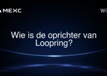 Wie is de oprichter van Loopring?