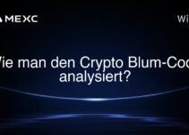 Wie man den Crypto Blum-Code analysiert?