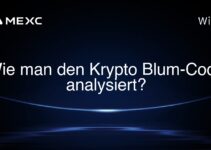 Wie man den Krypto Blum-Code analysiert?