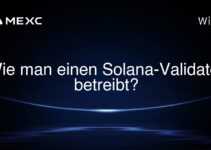 Wie man einen Solana-Validator betreibt?