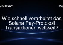Wie schnell verarbeitet das Solana Pay-Protokoll Transaktionen weltweit?