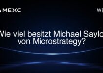 Wie viel besitzt Michael Saylor von Microstrategy?