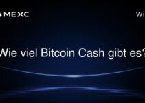 Wie viel Bitcoin Cash gibt es?