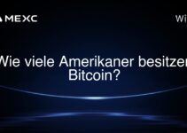 Wie viele Amerikaner besitzen Bitcoin?
