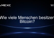 Wie viele Menschen besitzen Bitcoin?