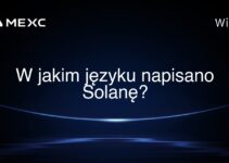 W jakim języku napisano Solanę?