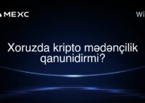 Xoruzda kripto mədənçilik qanunidirmi?