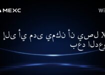 Насколько высоко может подняться XRP после иска?