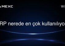 XRP nerede en çok kullanılıyor?