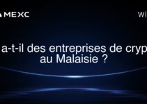 Y a-t-il des entreprises de crypto au Malaisie ?