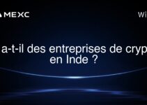 Y a-t-il des entreprises de crypto en Inde ?