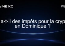 Y a-t-il des impôts pour la crypto en Dominique ?