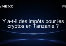Y a-t-il des impôts pour les cryptos en Tanzanie ?