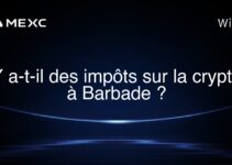 Y a-t-il des impôts sur la crypto à Barbade ?