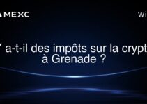 Y a-t-il des impôts sur la crypto à Grenade ?