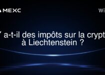 Y a-t-il des impôts sur la crypto à Liechtenstein ?