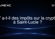 Y a-t-il des impôts sur la crypto à Saint-Lucie ?