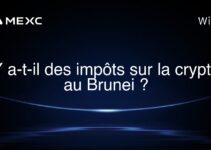 Y a-t-il des impôts sur la crypto au Brunei ?