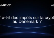 Y a-t-il des impôts sur la crypto au Danemark ?
