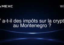 Y a-t-il des impôts sur la crypto au Montenegro ?