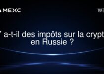 Y a-t-il des impôts sur la crypto en Russie ?