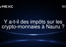 Y a-t-il des impôts sur les crypto-monnaies à Nauru ?