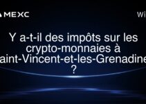 Y a-t-il des impôts sur les crypto-monnaies à Saint-Vincent-et-les-Grenadines ?
