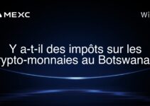 Y a-t-il des impôts sur les crypto-monnaies au Botswana ?