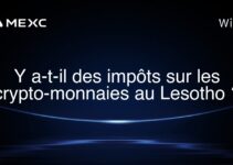 Y a-t-il des impôts sur les crypto-monnaies au Lesotho ?