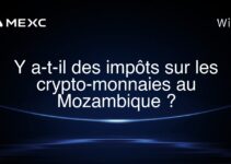 Y a-t-il des impôts sur les crypto-monnaies au Mozambique ?