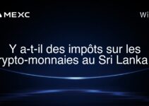 Y a-t-il des impôts sur les crypto-monnaies au Sri Lanka ?