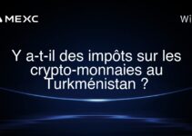 Y a-t-il des impôts sur les crypto-monnaies au Turkménistan ?