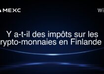 Y a-t-il des impôts sur les crypto-monnaies en Finlande ?