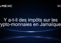 Y a-t-il des impôts sur les crypto-monnaies en Jamaïque ?