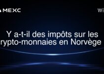 Y a-t-il des impôts sur les crypto-monnaies en Norvège ?