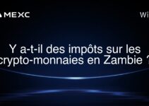 Y a-t-il des impôts sur les crypto-monnaies en Zambie ?