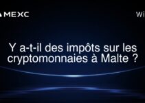 Y a-t-il des impôts sur les cryptomonnaies à Malte ?