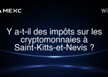 Y a-t-il des impôts sur les cryptomonnaies à Saint-Kitts-et-Nevis ?