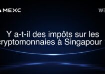 Y a-t-il des impôts sur les cryptomonnaies à Singapour ?