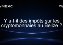 Y a-t-il des impôts sur les cryptomonnaies au Belize ?