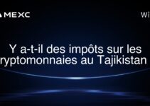 Y a-t-il des impôts sur les cryptomonnaies au Tajikistan ?