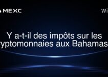 Y a-t-il des impôts sur les cryptomonnaies aux Bahamas ?