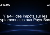 Y a-t-il des impôts sur les cryptomonnaies aux Pays-Bas ?