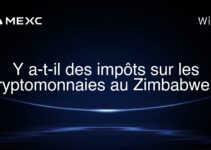 Y a-t-il des impôts sur les cryptomonnaies au Zimbabwe ?