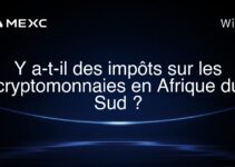 Y a-t-il des impôts sur les cryptomonnaies en Afrique du Sud ?