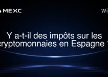 Y a-t-il des impôts sur les cryptomonnaies en Espagne ?
