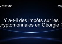 Y a-t-il des impôts sur les cryptomonnaies en Géorgie ?